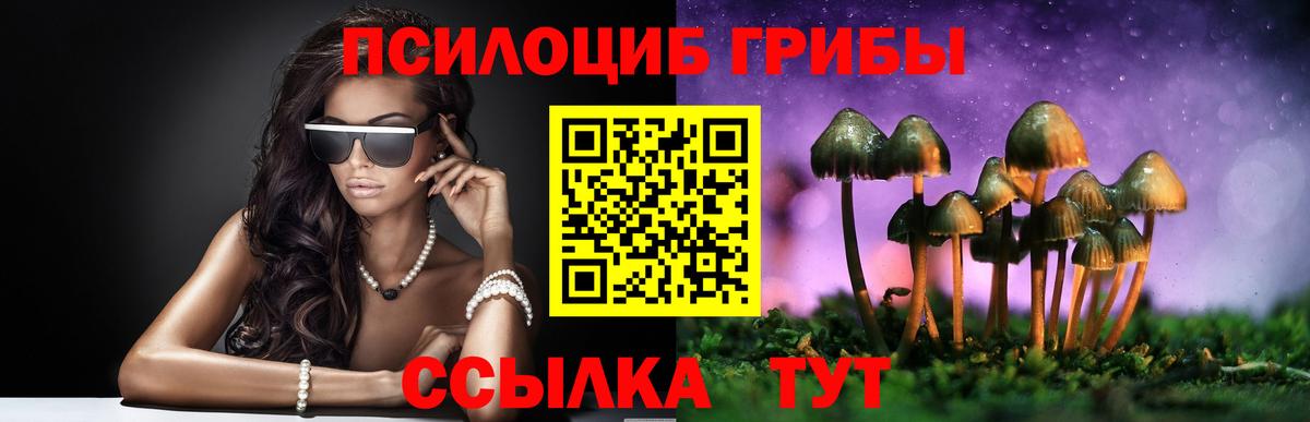 Галлюциногенные грибы GOLDEN TEACHER Дзержинский